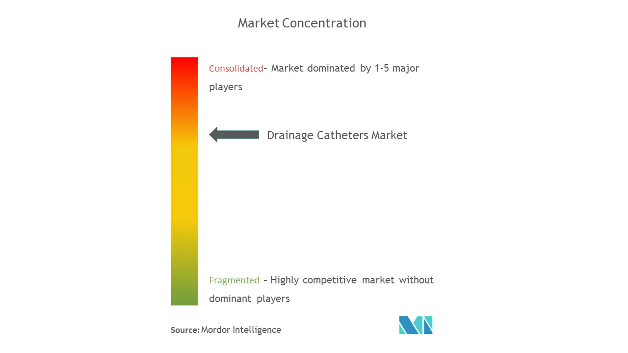 Drainage Catheters Market Concentration