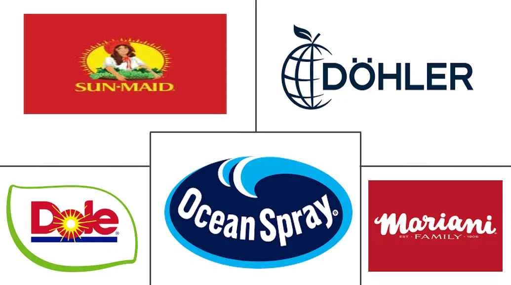 Major players in Dried Fruit Ingredients industry