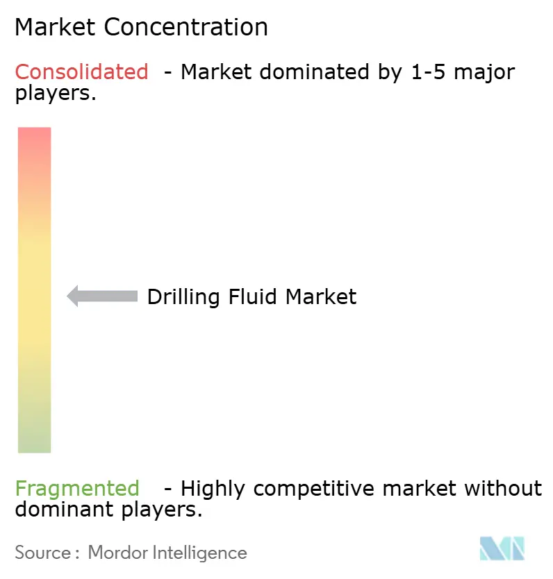 Drilling Fluid Market Concentration