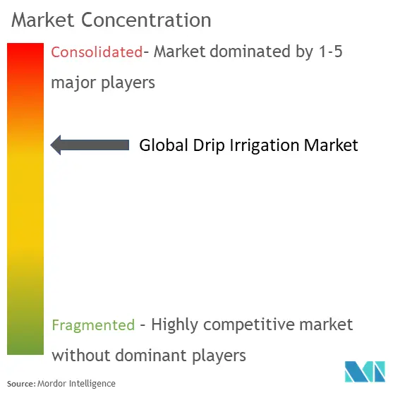 Drip Irrigation Market Concentration