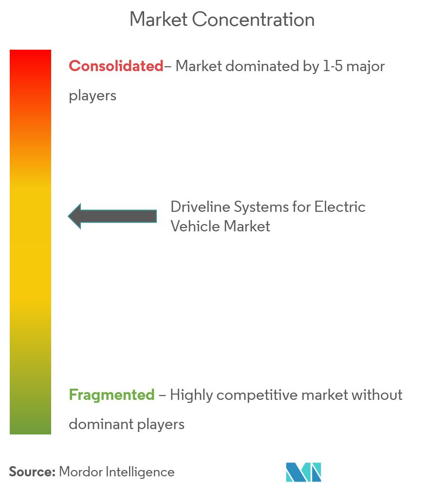 Driveline Systems For Electric Vehicle Market Concentration