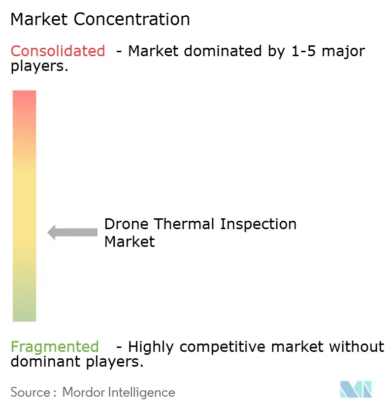 Concentración del Mercado de Inspección Térmica con Drones