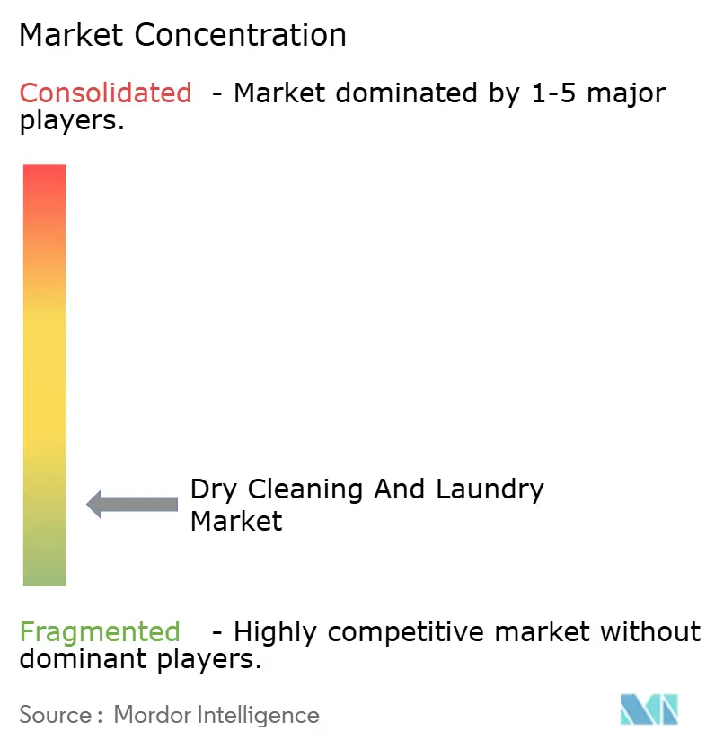 Dry Cleaning And Laundry Market Concentration
