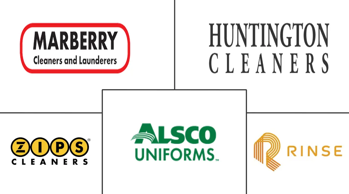 Dry Cleaning And Laundry Market Major Players