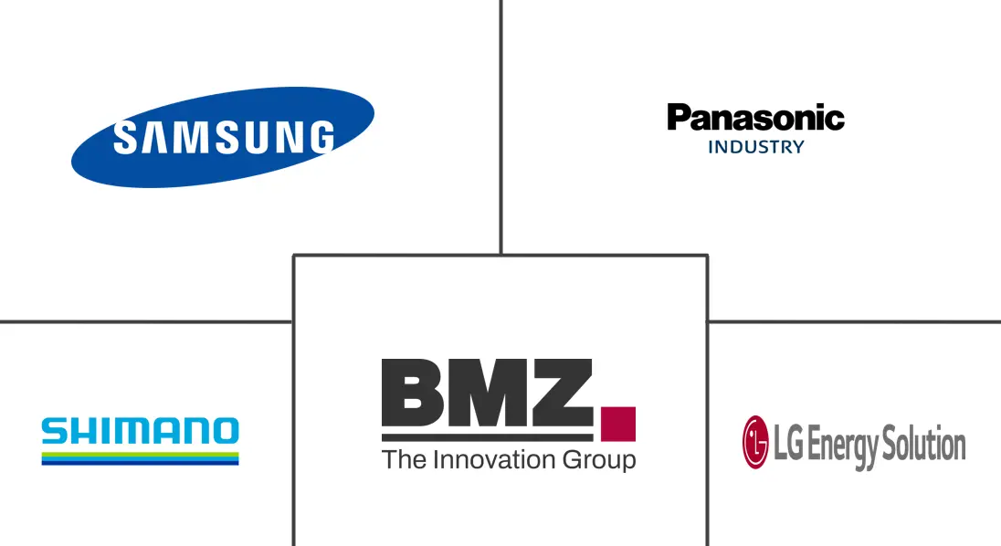 Major players in E-Bike Battery Pack industry