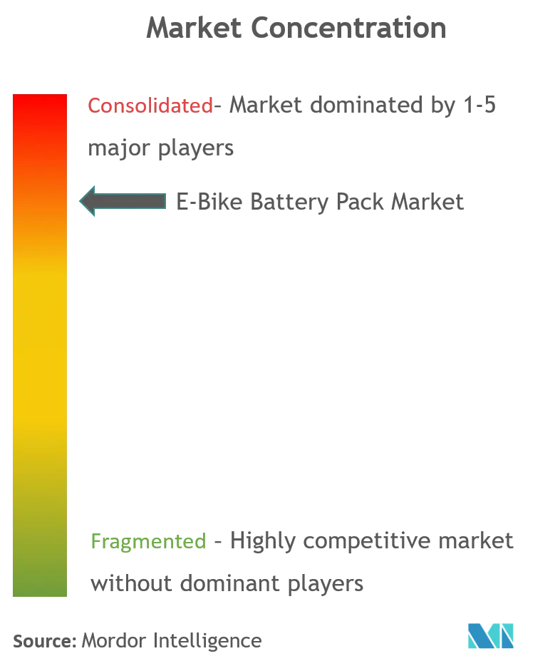 E-Bike Battery Pack Market_Market Concentration.png