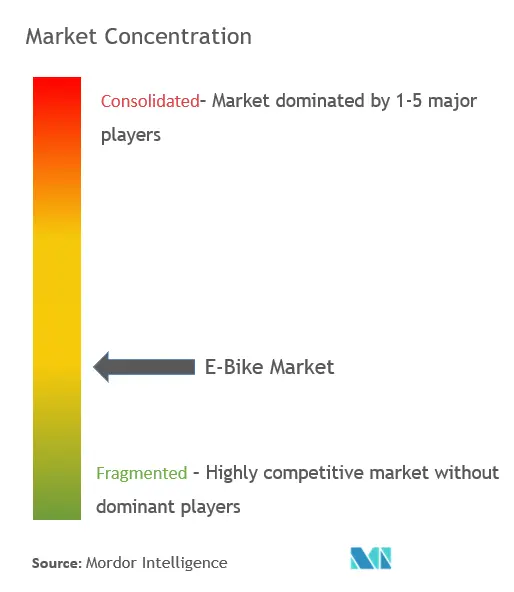 E-Bike Market Concentration