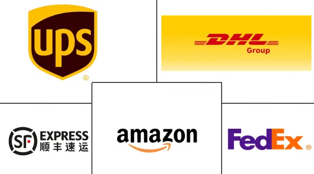 Major players in E-Commerce Small-Parcel Delivery industry