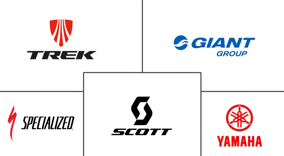 Major players in E-Mountain Bike industry