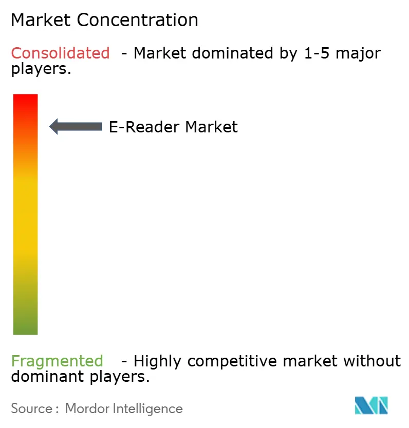  E-Reader Market Concentration
