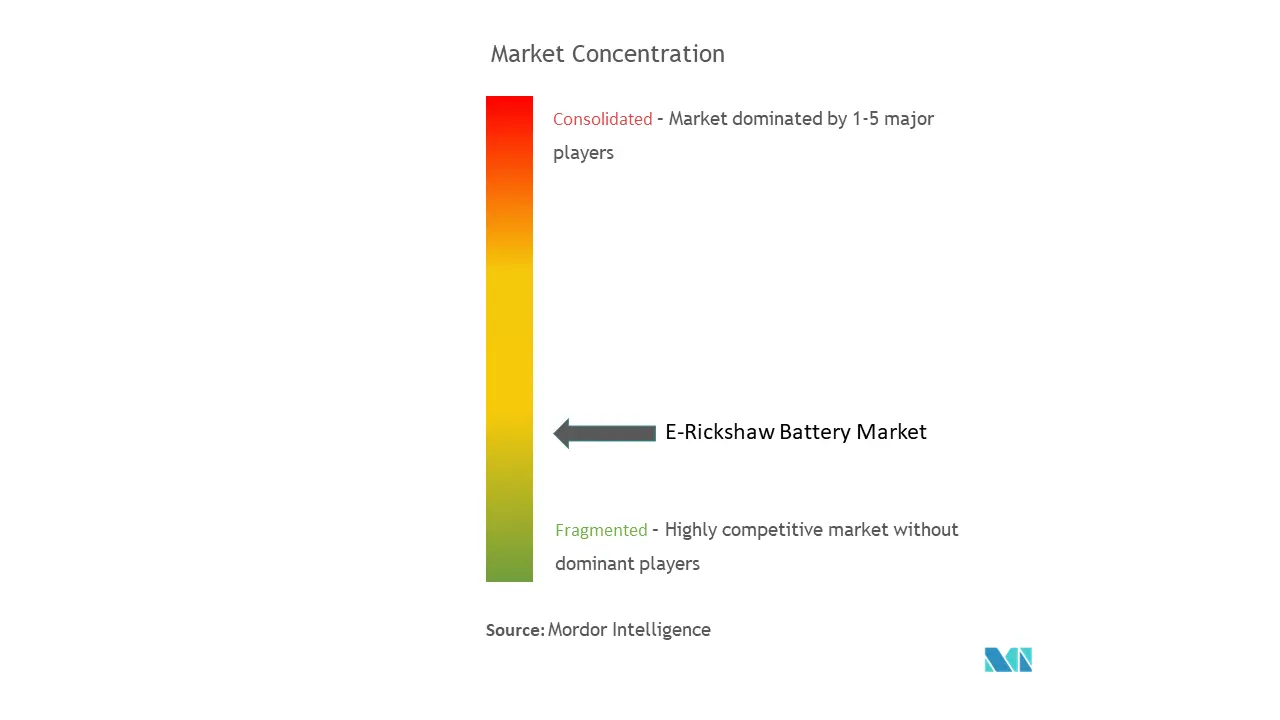 E-Rickshaw Battery Market Concentration