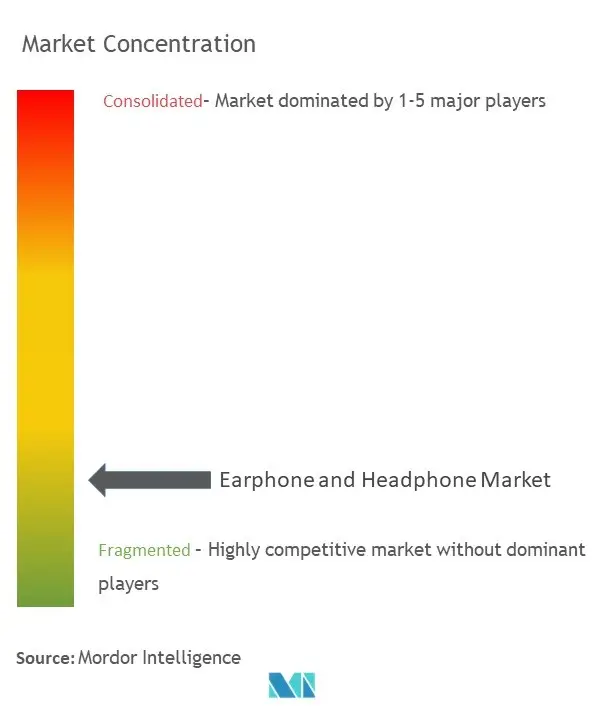 Earphone and Headphone Market  Concentration
