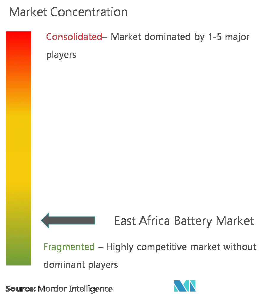 East Africa Battery Market Concentration