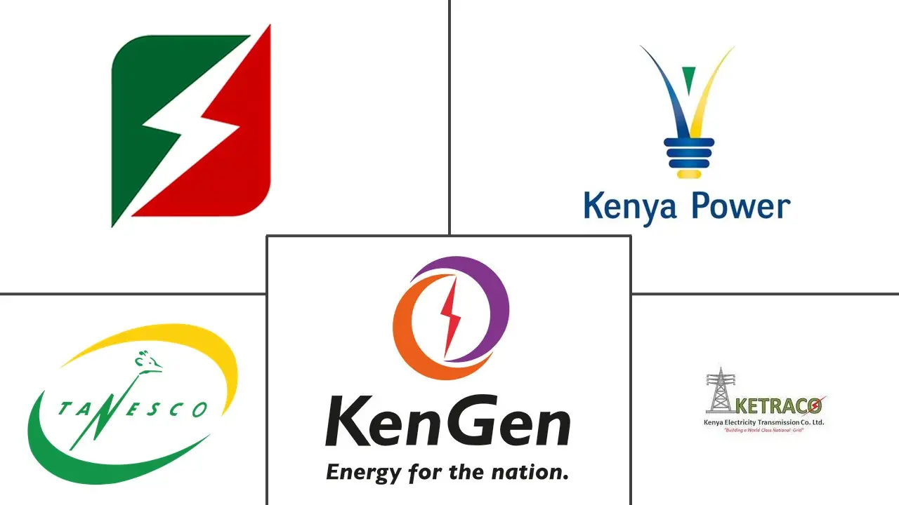 Основные игроки энергетического рынка Восточной Африки