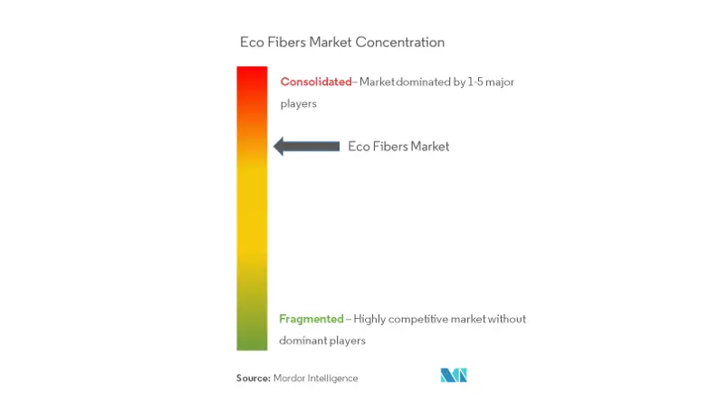 Eco Fibers Market Analysis