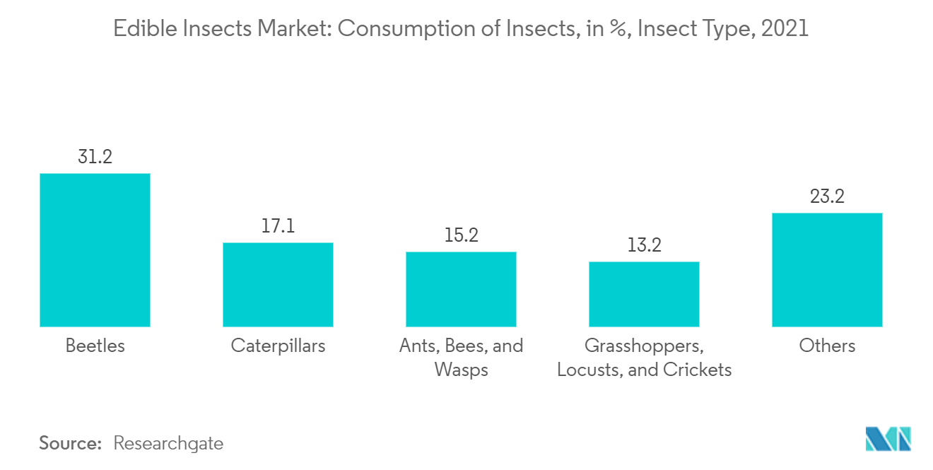 食用昆虫市場：昆虫の消費量（昆虫の種類別）（2021年