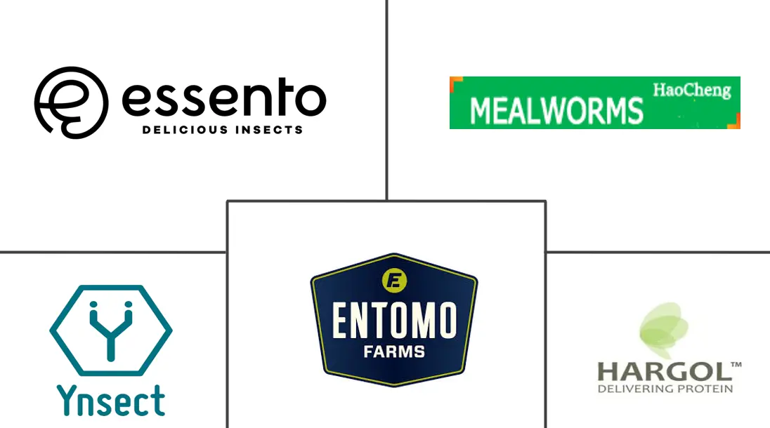 Related Companies Logo