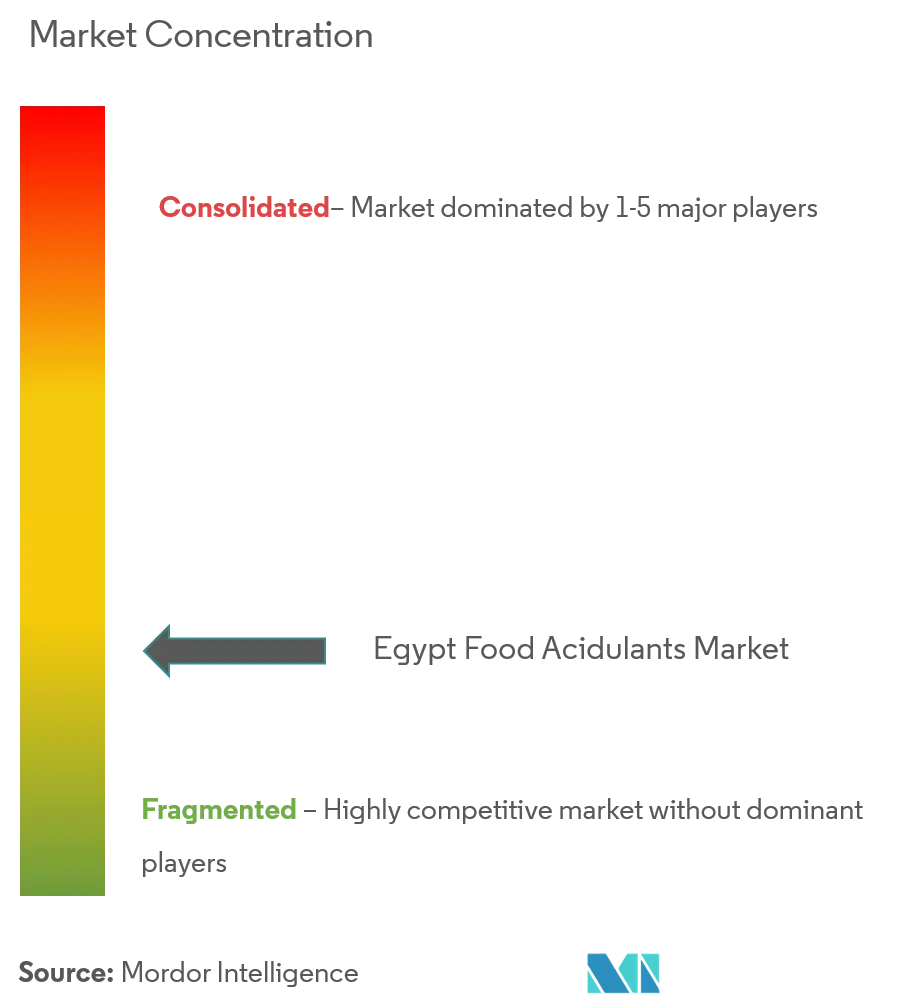 Egypt Acidulants Market Concentration