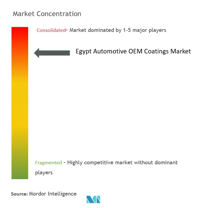 Egypt OEM coatings Market_Concern.png