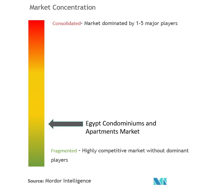 Egypt Condominiums and Apartments Market Concentration