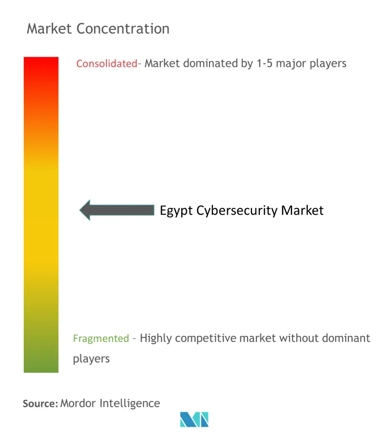 Egypt Cybersecurity Market Concentration