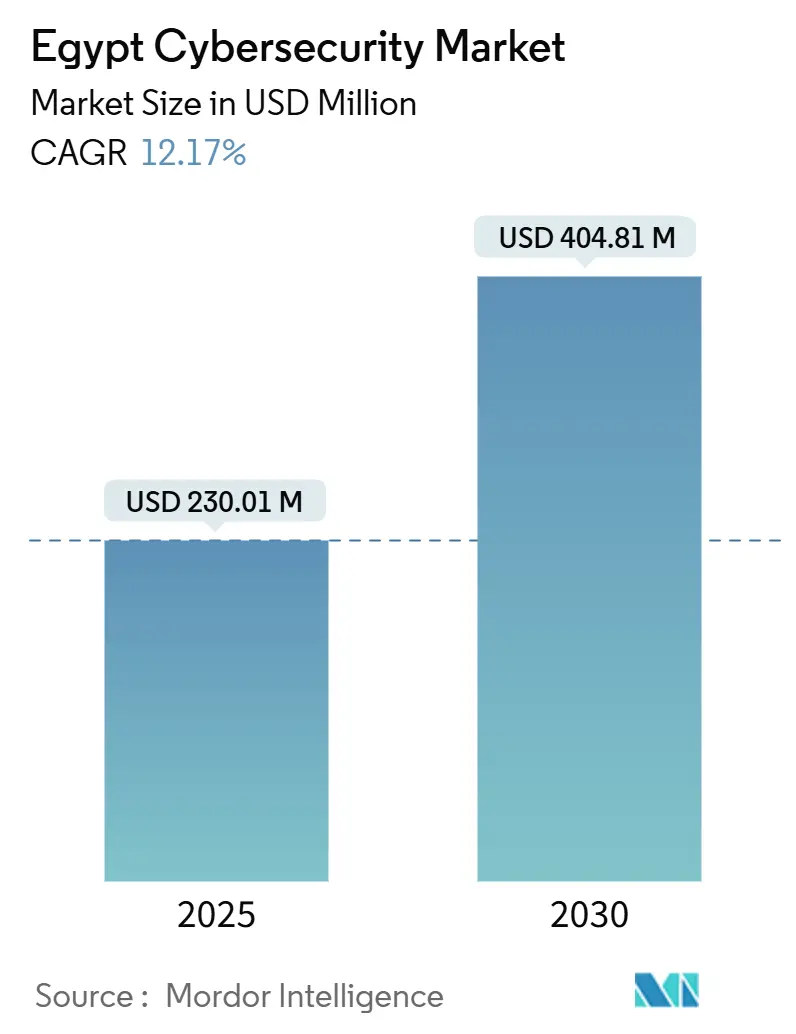 Egypt Cybersecurity Market (2025 - 2030)