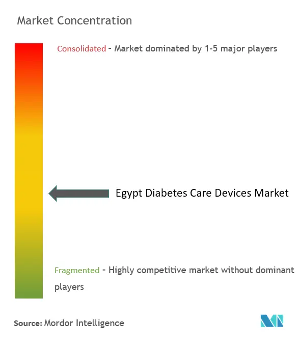 エジプトの糖尿病ケア機器市場集中度