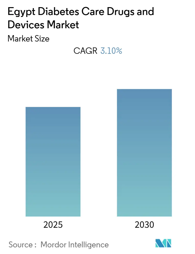 Egypt Diabetes Care Drugs And Devices Market (2025 - 2030)