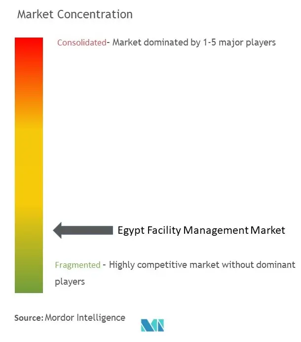 Egypt Facility Management Market Concentration
