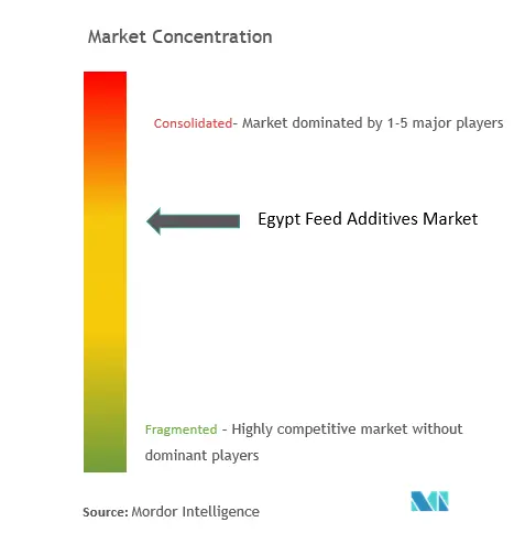 Aditivos alimentarios de EgiptoConcentración del Mercado