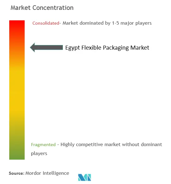 Egypt Flexible Packaging Market Concentration
