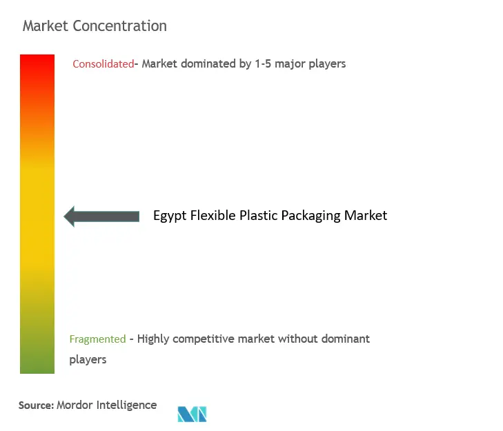 Egypt Flexible Plastic Packaging Market Concentration