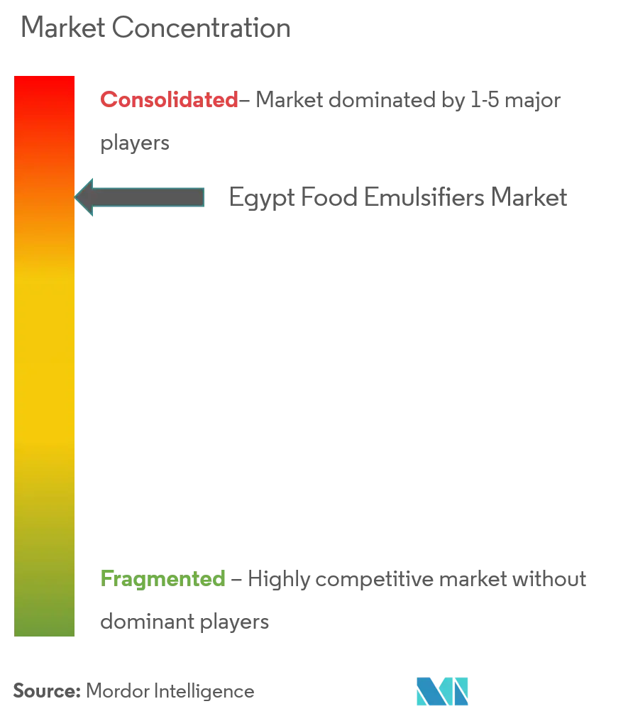 Emulsionantes alimentarios de EgiptoConcentración del Mercado