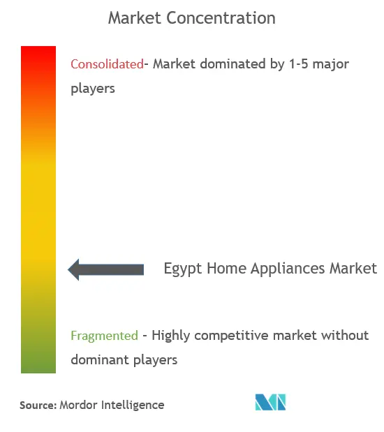 エジプトの家電製品市場集中度
