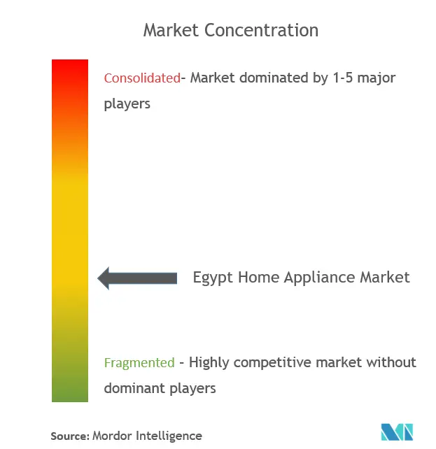 Egypt Home Appliances Market Concentration