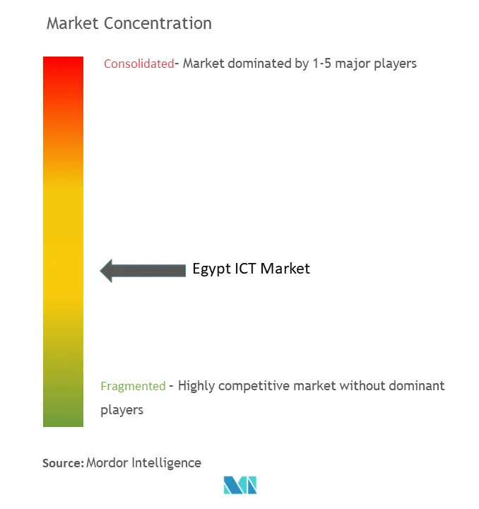 Egypt ICT Market Concentration