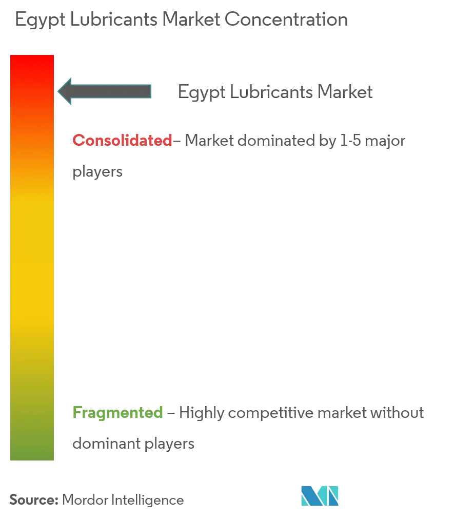 Egypt Lubricants Market Concentration