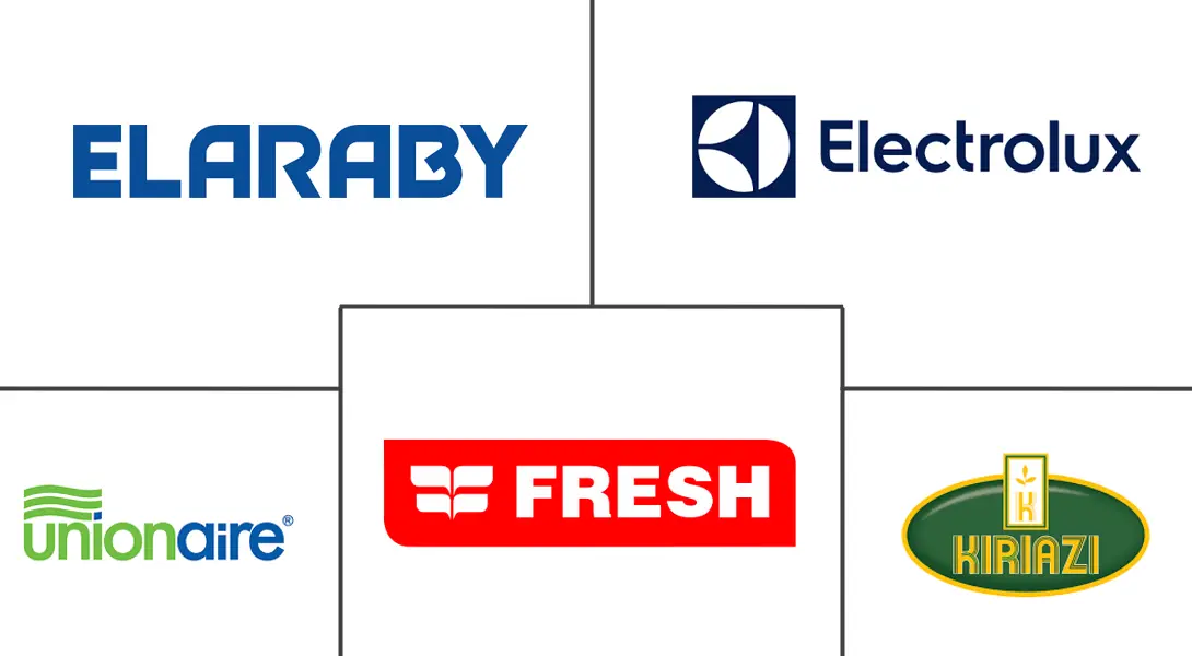 Major players in Egypt Major Home Appliances industry