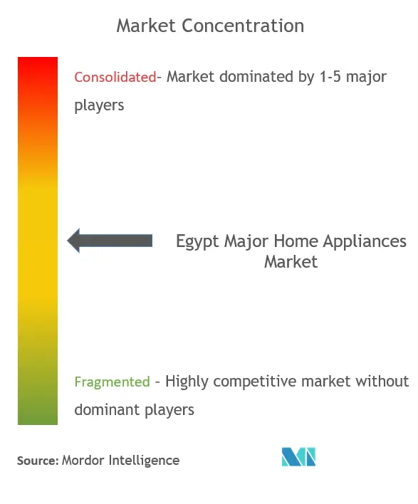 Egypt Major Home Appliances Market Concentration