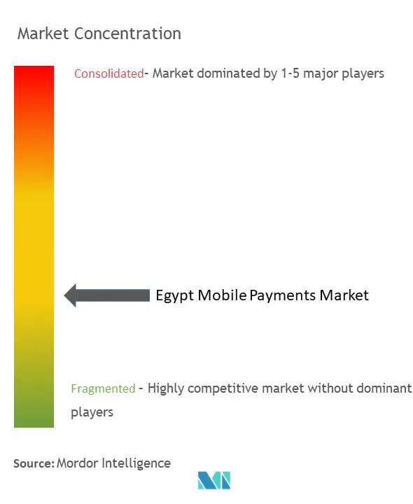 Egypt Mobile Payments Market Concentration