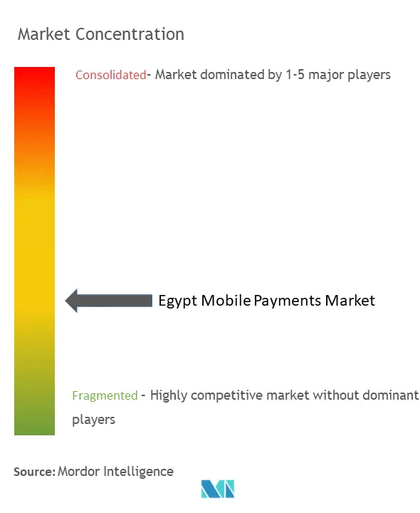 エジプト・モバイル決済市場の集中度