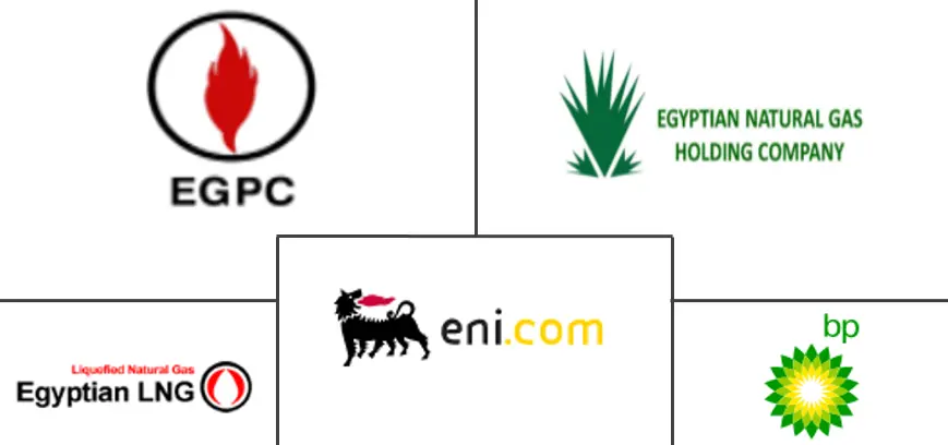  エジプト天然ガス市場 Major Players