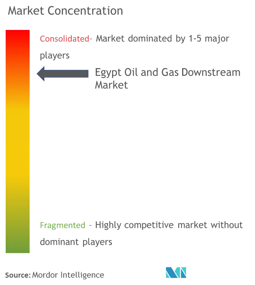 Egypt Oil and Gas Downstream Market Concentration