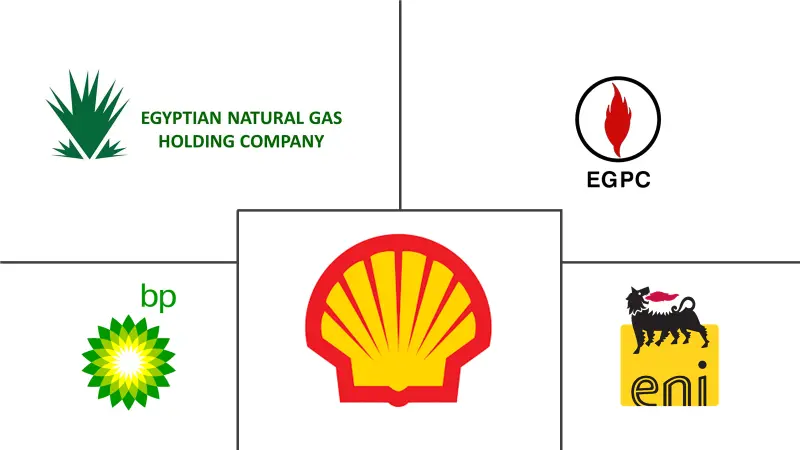 Acteurs majeurs du marché intermédiaire du pétrole et du gaz en Égypte