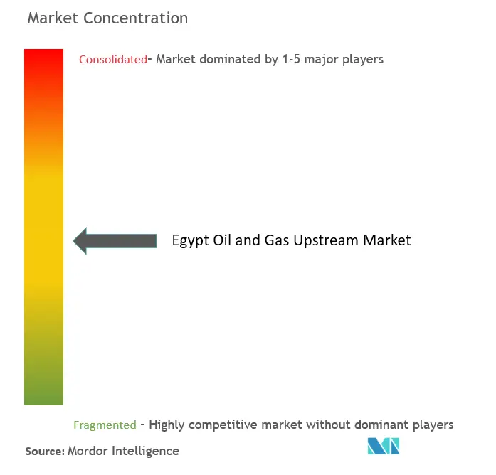 Egipto Petróleo y Gas UpstreamConcentración del Mercado
