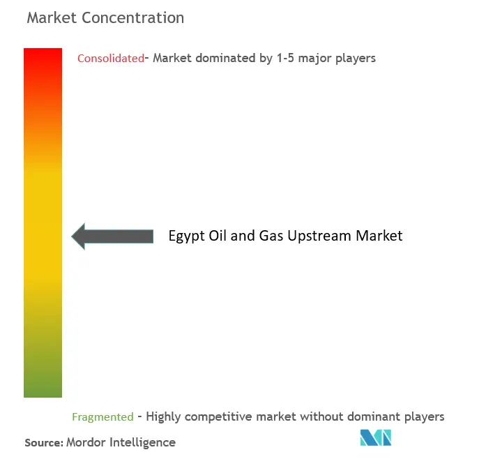 Ägypten Öl und Gas UpstreamMarktkonzentration