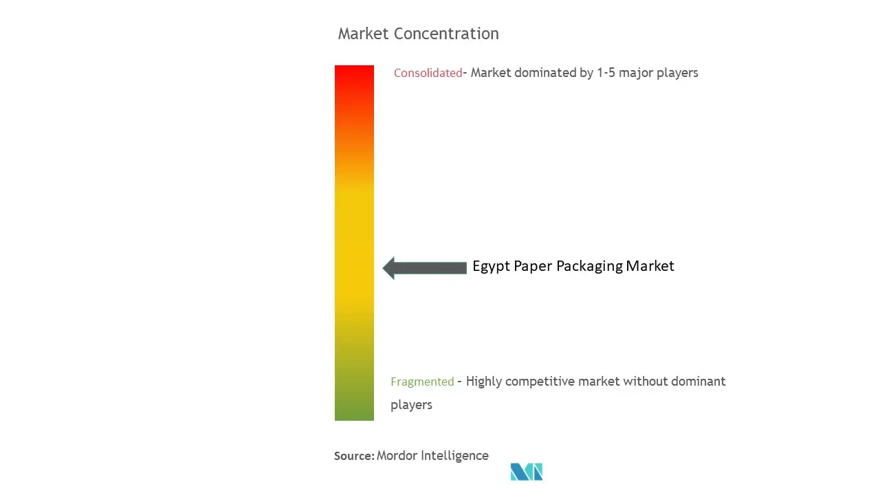 エジプトの紙包装市場集中度