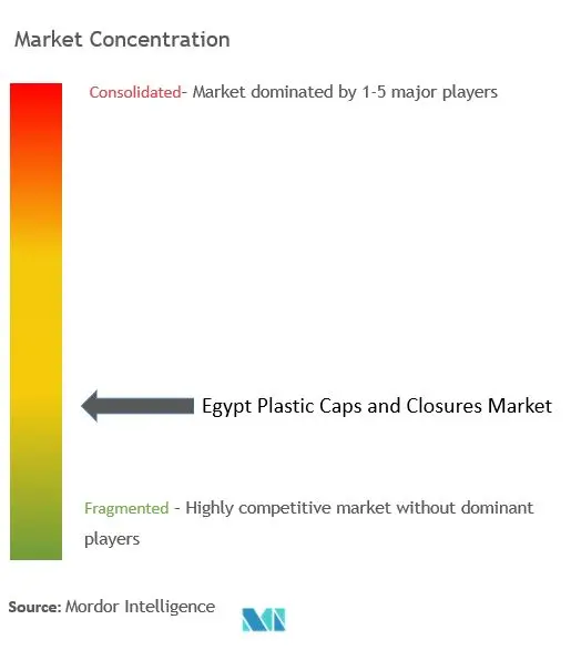 Egypt Plastic Caps and Closures Market Concentration