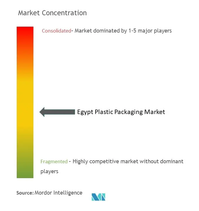 Egypt Plastic Packaging Market Concentration