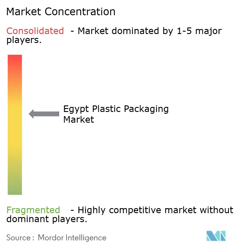 Egypt Plastic Packaging Market Concentration